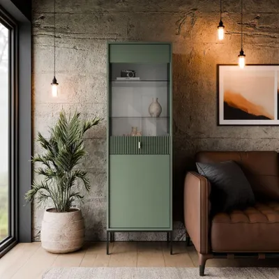 A modern living room with a green display cabinet, a brown leather sofa, a large potted plant, and concrete walls.