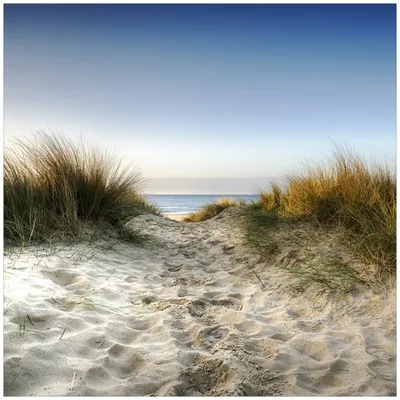 Produktbild von Wallario Möbeldesign / Aufkleber, geeignet für Ikea Lack Tisch - Weg durch die Dünen zum Strand am Meer in 55 x 55 cm