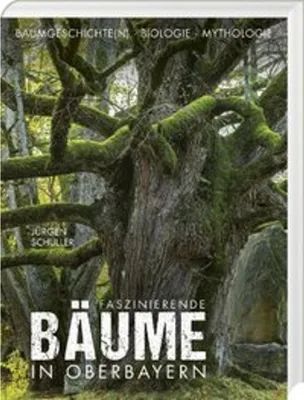 Image de Faszinierende Bäume in Oberbayern