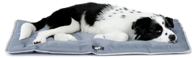 Produktbild von Ferplast Hundematte & Katzenmatte, waschbar, wasserdicht, Kratzfest, 83 x 50 cm, Grau