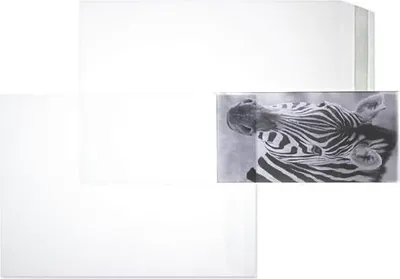 Produktbild von Versandtaschen 240x340mm 54 my haftklebend VE=1000 St. transparent