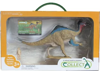 Obrázek produktu pro Dárková sada COLLECTA - Prehistorie