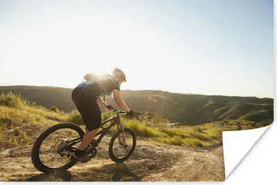 Produktbild von MuchoWow® Poster Mit dem Mountainbike auf dem Feldweg 180x120 cm - Fotoplakat