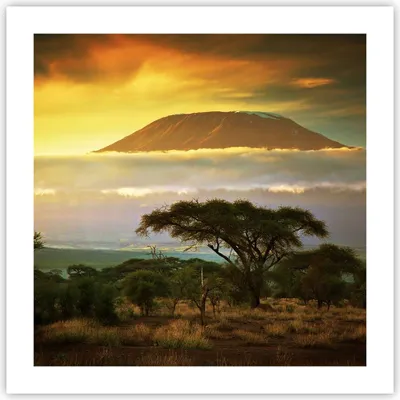 Produktbild von Poster - Poster ohne Rahmen - Safari Tierwelt Berg Kenia - 50x50 cm - Wand Bild - Wanddeko - Wandbilder - Kunstposter - Wandposter - Bilder - Kunstdruck - Wanddekoration - Wandbild - P2XAC50x50-3170