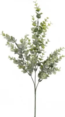 Produktbild von artplants.de Kunstzweig Eukalyptus Zweig Noelia, grün, 70cm - Deko Eucalyptus