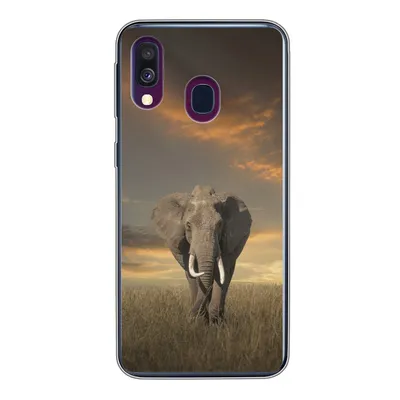 Produktbild von MuchoWow® Handyhülle Schutzhülle Hülle für Samsung Galaxy A40 Elefant - Tiere - Gras - Natur Silikon Softcase Handy Hülle - Handy-Tasche