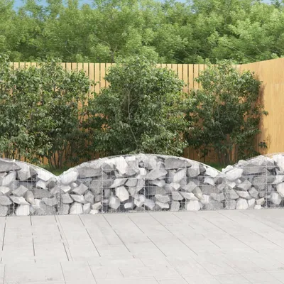 Immagine prodotto di The Living Store Gabbione ad arco alto 200x30x40/60 cm Ferro zincato