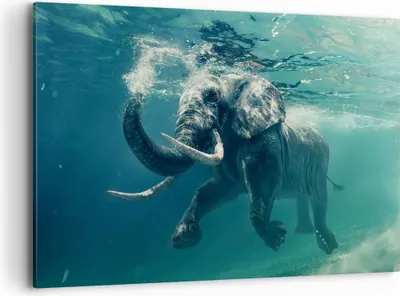 Produktbild von Bild auf Leinwand - Leinwandbild - Elefant Tier Wasser - 120x80cm - Wand Bild - Wanddeko - Leinwanddruck - Bilder - Kunstdruck - Wanddekoration - Leinwand bilder - Wandkunst - AA120x80-3944