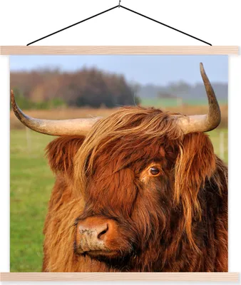 Produktbild von MuchoWow® Textilposter Schottisches Hochlandrind - Gras - Baum 60x60 cm mit holzfarbenen Rahmen - Wanddekoration