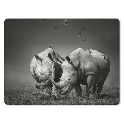 Produktbild von MuchoWow® Mauspad Mousepad Nashorn - Vogel - Tiere - Landschaft - Schwarz-Weiß 40x30 cm - Mousepads - Maus Mat - Pad - Mausunterlage - Anti Rutsch