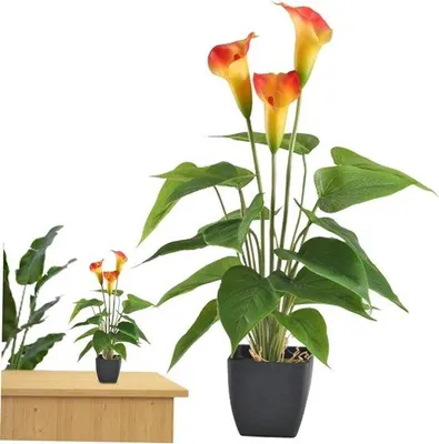 Immagine prodotto di Piatto con giglio Nep - Vaso decorativo - Decorazione per interni ed esterni - Vaso naturale - 45x25x15 cm - Arancione brillante