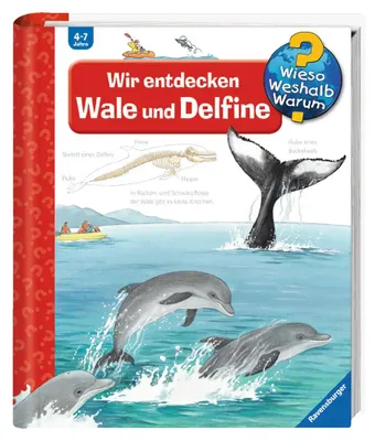 Image de Wir entdecken Wale und Delfine
