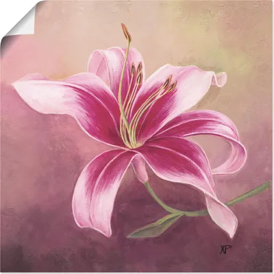 Produktbild von ARTland Poster Frühe Lilie Größe: 40x40 cm