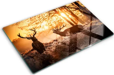 Produktbild von Tulup Glas Herdabdeckplatte - 80x52 cm - Glaskeramikkochfeld-Abdeckung Spritzschutz Glasabdeckplatte - Einteilig - Tiere - Hirsch Sonnenaufgang - Braun