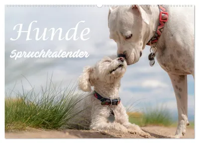 Produktbild von Hunde Spruchkalender (Wandkalender 2027 DIN A2 quer), CALVENDO Monatskalender
