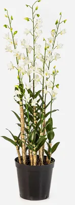 Produktbild von artplants.de Künstliche Orchidee LOFINA im Dekotopf, weiß, 130cm - Kunstblume Dendrobium