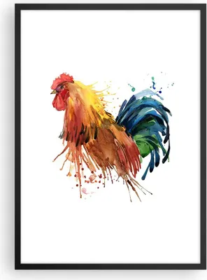 Produktbild von Gerahmtes Poster - Schwarzer Rahmen - Hahn Ilustration Tier Farben - 50x70 cm - Wand Bild - Wanddeko - Wandbilder - Wandposter - Bilderrahmen - Bilder - Kunstdruck - Wandbild - P2BPA50x70-2842