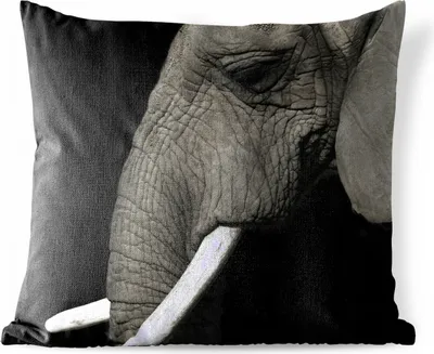 Produktbild von MuchoWow® Outdoor Kissen - Elefant - Grau - Schwarz - 50x50 cm - Wetterfest - Lounge Kissen - Komfortabel - Kissen mit Bild