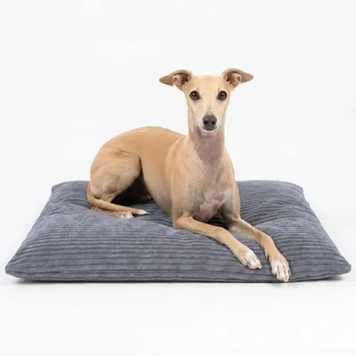 Produktbild von 4L Textil MOLLY Hundekissen Cord Grau waschbares Hundebett XL Cord Hundekissen XXL Hundekissen waschbar mit Bezug 120x100 cm, Grau