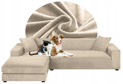 Produktbild von 2er Set Sofabezug - Creme - 2-Sitzer 145-185 cm - Elastischer Couchbezug Stretch