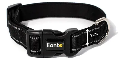 Produktbild von lionto Hundehalsband gepolstert Halsband Nylon reflektierend wasserfest verstell