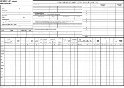 Obrázok produktu pre 1131 - Mzdy A3