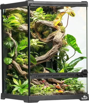 Immagine prodotto di Terrario Oasis Green 5 - terrario 20x20x30cm Terrario
