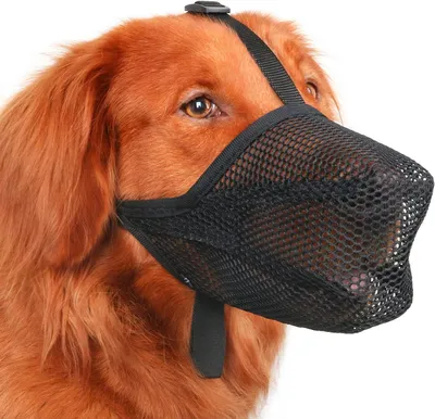 Produktbild von Mayerzon Hundemaulkorb, weicher Netzmaulkorb für die Aassuche| Schwarz, S | Für mittelgroße und kleine Hunde: Beißen, Lecken, Kauen, Tierarztbesuche, Training, Hecheln und Trinken