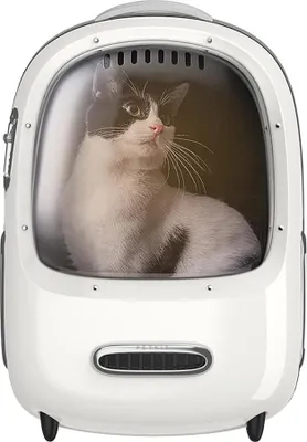 Produktbild von PETKIT Breezy 2, Fester Transportbox, Rucksack-Haustiertransportbox, Katze, Kleintier, Frontlader, Weiß, Gradient