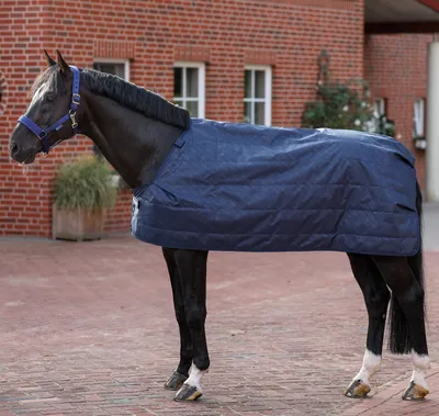 Produktbild von Bucas Liner Unterdecke navy 300 g Thermobonded Isolierung 145 cm ( L )