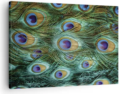 Produktbild von Bild auf Leinwand - Leinwandbild - Einteilig - Pfauen Feder Makro - 70x50cm - Wand Bild - Wanddeko - Wandbilder - Leinwanddruck - Bilder - Wanddekoration - Leinwand bilder - Wandbild - AA70x50-4159