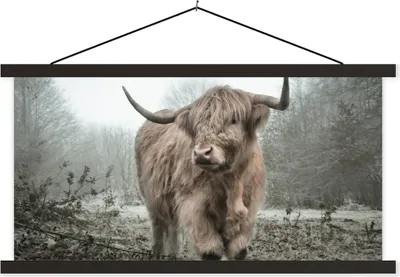 Produktbild von MuchoWow® Textilposter Schottische Hochlandrind - Natur - Herbst - Tiere - Wildtiere - Wald 120x60 cm mit schwarzem Rahmen - Dekoration Schlafzimmer