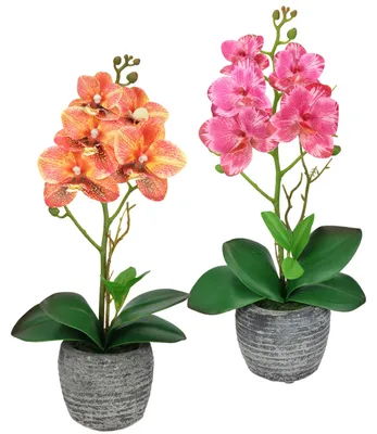 Zdjęcie produktu dla Zestaw 2 sztuk sztucznych roślin "Kwiat motyla", "Orchidea", wysokość 35 cm, w doniczce