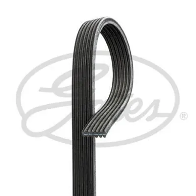Immagine prodotto di Cintura a coste multiple GATES 6DPK1215