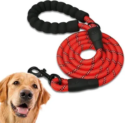 Image de Laisse d'entraînement pour chien avec poignée souple, pour chiots et chiens de petite, moyenne et grande taille, couleur rouge, 2,2 m