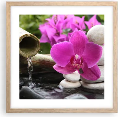 Produktbild von Gerahmtes Poster - Rahmen in heller Eiche - Orchidee Bambus Dekoration Spa - 40x40 cm - Wand Bild - Wanddeko - Wandbilder - Wandposter - Bilderrahmen - Bilder - Kunstdruck - Wandbild - P2NAC40x40-2666