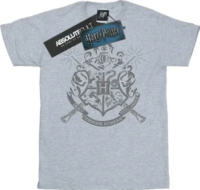 Produktbild von Harry Potter - T-Shirt für Herren BI1217 (L) (Grau)