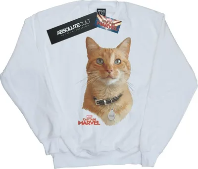 Produktbild von Marvel - Sweatshirt für Herren BI18890 (M) (Weiß)