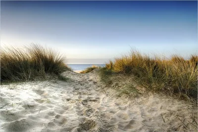 Produktbild von Wallario Poster - Weg durch die Dünen zum Strand am Meer, Kunstdruck Größe: 61 x 91,50 cm