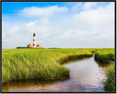 Produktbild von Wallario Wandbild Kleiner Bach durch Schilf auf dem Weg zum Leuchtturm, Größe: 40,30 x 50,30 cm, Poster mit schwarzem Aluminiumrahmen