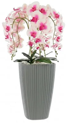 Immagine prodotto di Bouquet a cascata di orchidee artificiali Cremerosa in vaso grigio, H 95 cm, fiori gommati, 5 rami. Decorazione per l'ufficio in casa. Bella ed elegante.