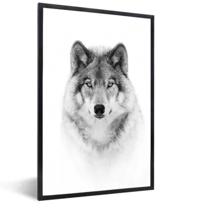 Produktbild von MuchoWow® Gerahmtes Poster Wolf - Tiere - Porträt - Weiß 40x60 cm - Poster mit Schwarzem Bilderrahmen Wandposter Rahmen Foto Bilder - Papierdruck - Wandbilder