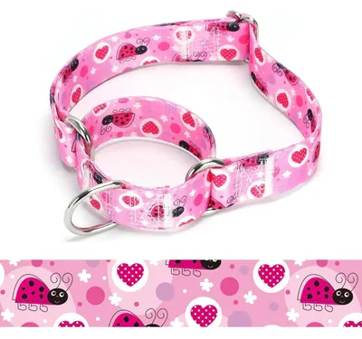 Obrázek produktu pro Martingale obojek pro psy, nylon, nastavitelný, velikost M: 36-45 cm, model A85NO7