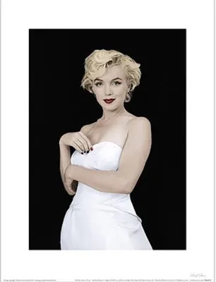 Produktbild von Pyramid International PPR44293, 1 Stück(e), Marilyn Monroe, Rechteck