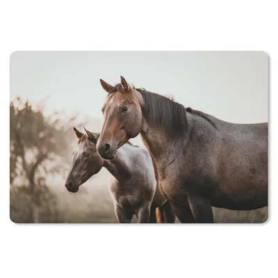 Produktbild von MuchoWow® Mauspad Mousepad Pferde - Natur - Braun 27x18 cm - Mousepads - Maus Mat - Pad - Mausunterlage - Büroartikel - Desk Matten