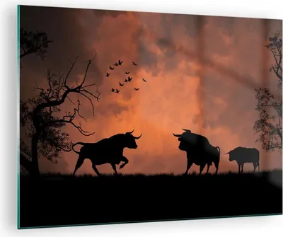 Produktbild von Bilder auf glas - Tier wütend Stier - 70x50cm - Glasbilder - Wandbilder - Kunstdruck - zum Aufhängen bereit - Wanddekoration aus Glas - Glas Bilder - Wandbild auf Glas - Einteilig - GAA70x50-0494