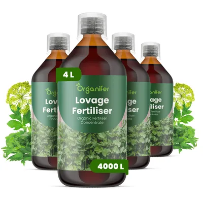 Produktbild von Liebstöckel Flüssigdünger 4x1L – 2-1-8 NPK – Flüssig-Pflanzendünger für Liebstöckel – Fördert üppige Blattentwicklung & gesunde Pflanzen – Organifer