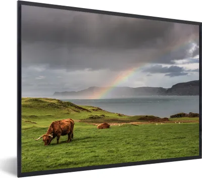 Produktbild von MuchoWow® Gerahmtes Poster Schottische Highlander - Gras - Wolken 80x60 cm - Poster mit Schwarzem Bilderrahmen Wandposter Rahmen Foto Bilder - Schwarzem - Mit Gestell