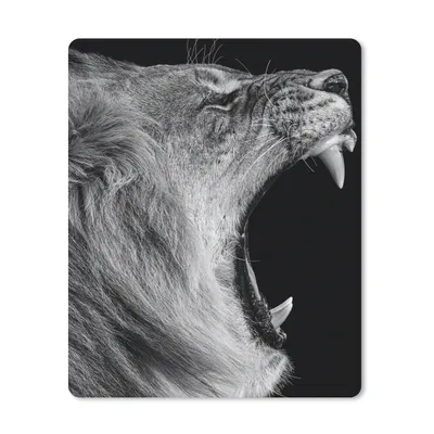 Produktbild von MuchoWow® Mauspad Mousepad Tiere - Löwe - Schwarz - Weiß - Porträt 19x23 cm - Mousepads - Maus Mat - Pad - Mausunterlage - Mauspads - Spielen