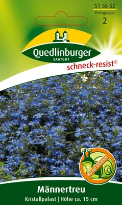 Produktbild von Quedlinburger Saatgut - Männertreu Kristallpalast - Samen - 515852